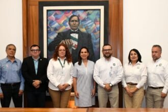 imss irapuato