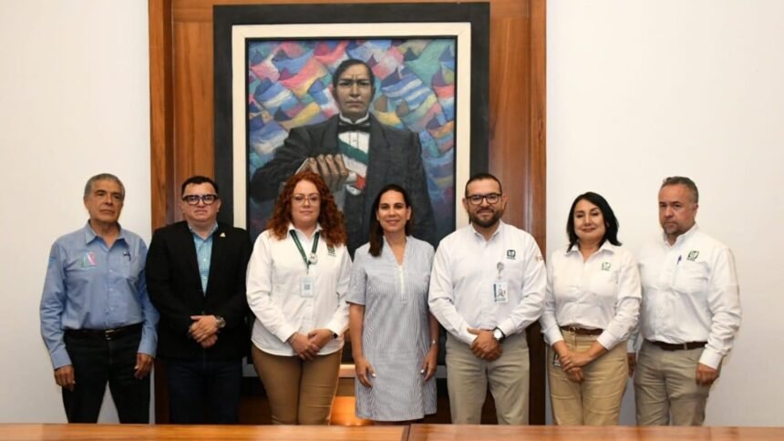 imss irapuato