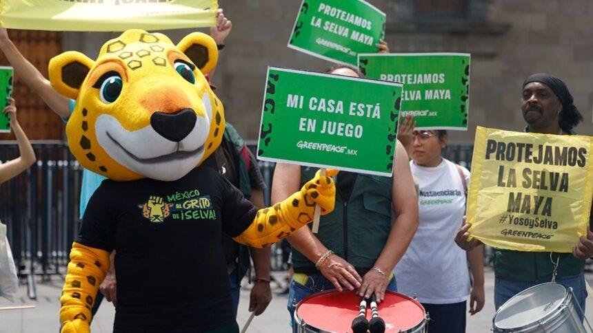 Iniciativa "Ruta del jaguar" busca proteger la Selva Maya en el Mundial.
