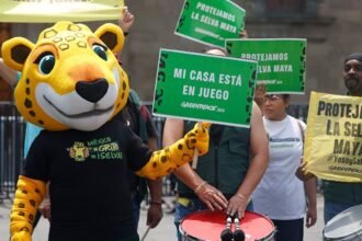 Iniciativa "Ruta del jaguar" en Mundial denuncia destrucción de la Selva Maya