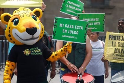 Iniciativa "Ruta del jaguar" en Mundial denuncia destrucción de la Selva Maya