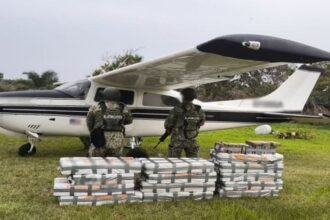 Interceptan en Tabasco más de 600 kilos de cocaína proveniente de EE. UU.