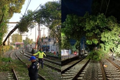 Interrupción del servicio del Tren Ligero afecta conexión entre Xochimilco y Estadio Azteca