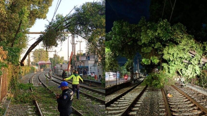 Interrupción del servicio del Tren Ligero afecta conexión entre Xochimilco y Estadio Azteca