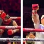 Julio César Chávez regresa al ring en pelea benéfica con Arce