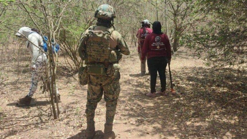 Madres buscadoras hallan a dos mujeres sin vida en Mazatlán