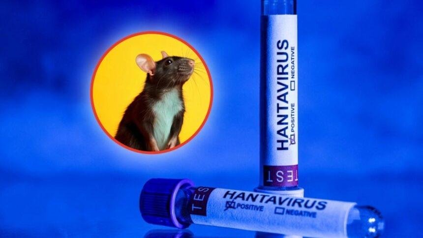 Muerte por hantavirus en Estados Unidos no vinculada a crucero MV Hondius