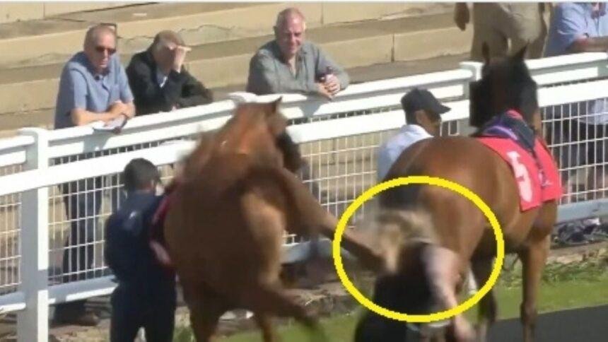 mujer es golpeada por caballo antes de carrera en reino Mujer es golpeada por caballo antes de carrera en Reino Unido