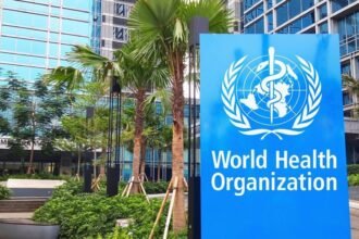 OMS confirma que brote de hantavirus no generará epidemia global