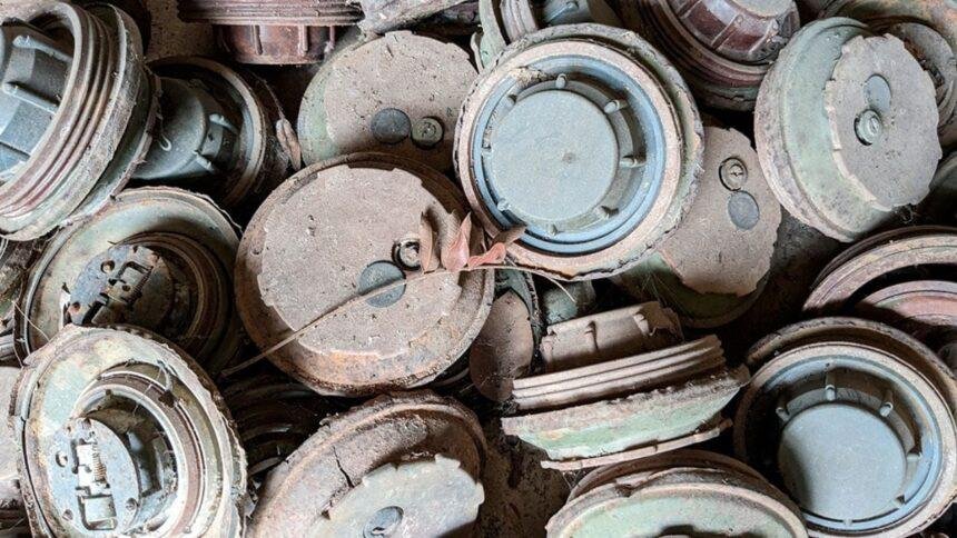 ONU destruye más de 30 mil minas terrestres en Sahara Occidental desde 1991