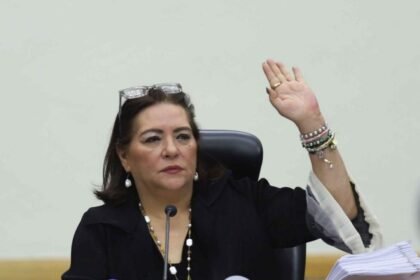 Oposición en el Senado apoya a Guadalupe Taddei y rechaza reformas electorales.
