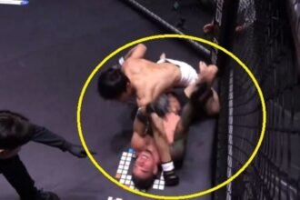 Peleador brasileño noqueado de forma impactante por rival coreano en MMA