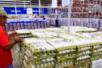 Pérdidas millonarias en México por fallas logísticas, revela estudio nacional.