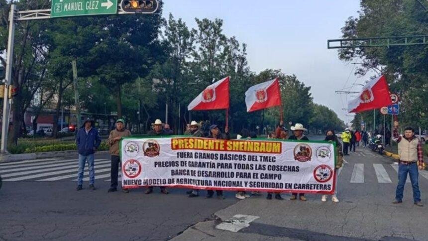 productores agricolas amenazan con boicotear el mundial por desacuerdos con Productores agrícolas amenazan con boicotear el Mundial por desacuerdos con Agricultura