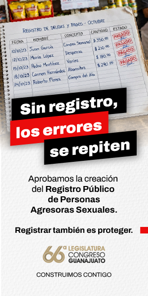 Registro de Agresores_300X600