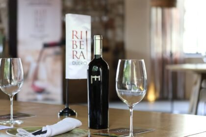 Ribera del Duero: El Vino Español que Está Cautivando a México