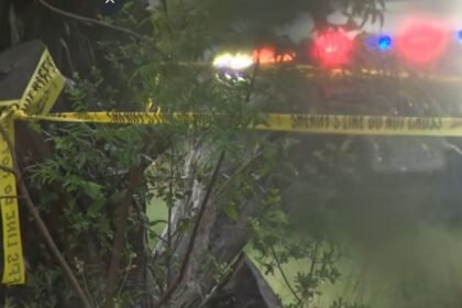 Tragedia en Texas: Piloto y cuatro jugadores de pickleball pierden la vida