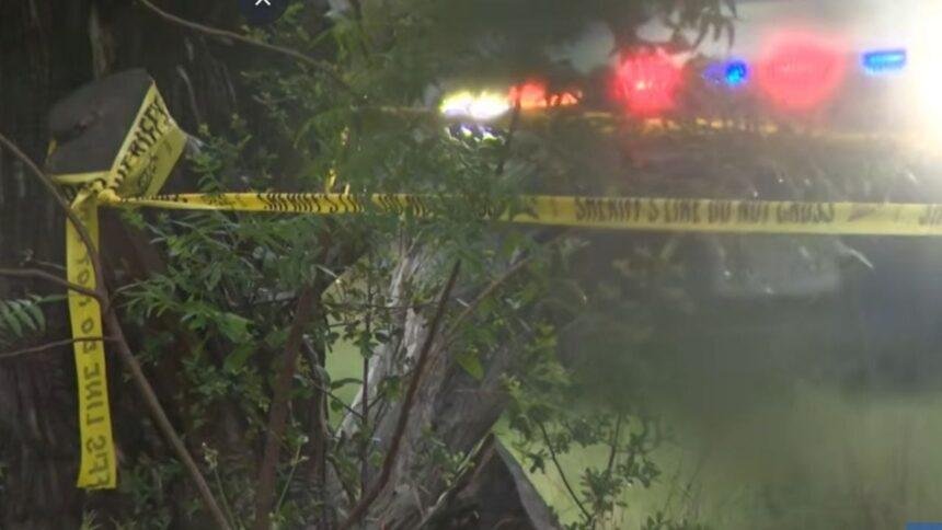 Tragedia en Texas: Piloto y cuatro jugadores de pickleball pierden la vida