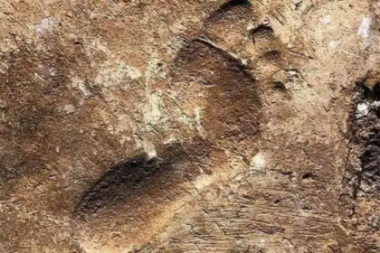 Un trabajador de hace 4.000 años y su conexión con el antiguo Irak