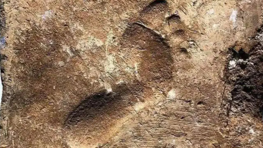 Un trabajador de hace 4.000 años y su conexión con el antiguo Irak