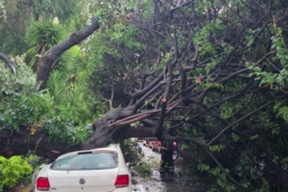 alerta amarilla en cdmx por lluvias que provocan encharcamientos y Alerta amarilla en CDMX por lluvias que provocan encharcamientos y caída de árboles