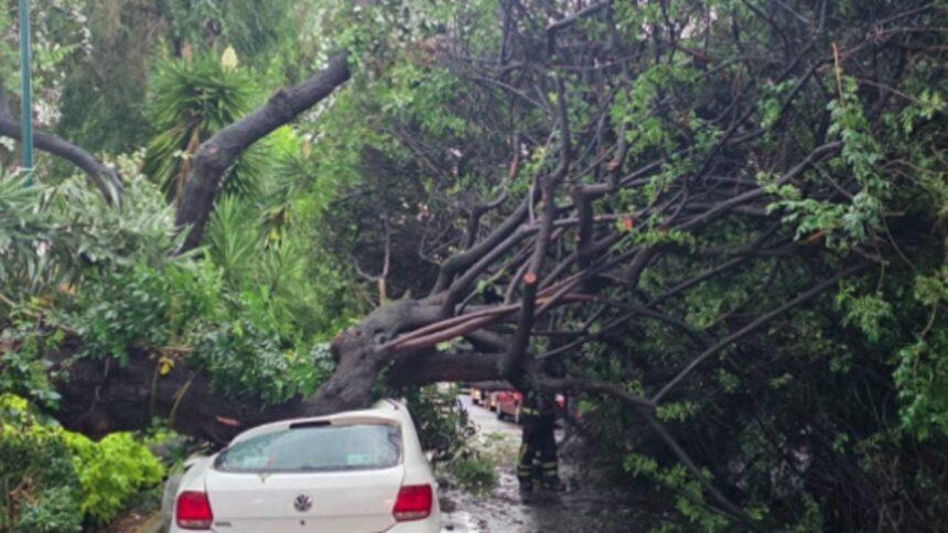 alerta amarilla en cdmx por lluvias que provocan encharcamientos y Alerta amarilla en CDMX por lluvias que provocan encharcamientos y caída de árboles