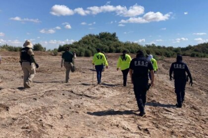 Amnistía Internacional solicita al gobierno de Sheinbaum proteger a buscadores tras asesinato en Guanajuato