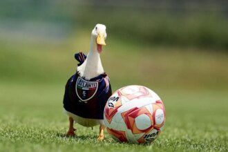 Atlante presenta a Pato Merlín como su nuevo refuerzo en Primera División
