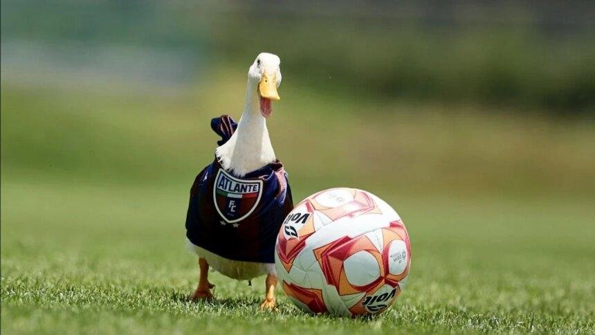 Atlante presenta a Pato Merlín como su nuevo refuerzo en Primera División