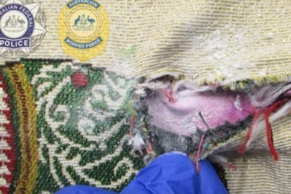 Australia captura a trabajadora de aerolínea tailandesa con kilo de heroína