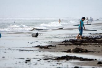 Autoridades advierten sobre ciclón tropical que impactará Tamaulipas y Nuevo León.