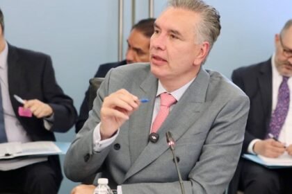 Avanza la “Ley Pay de Limón” para aumentar sanciones por maltrato animal