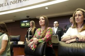 Caso Paula impulsa demanda de fiscalías especializadas en violencia de género.