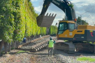 Celaya contará con tren de pasajeros tras tala de 424 árboles