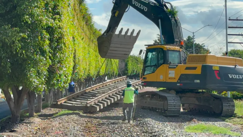Celaya contará con tren de pasajeros tras tala de 424 árboles