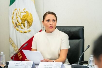 Congreso confirma nombramiento de nueva titular de Grandes Contribuyentes del SAT