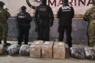 Decomisan 150 kilos de metanfetamina en Baja California valorados en 38 mdp