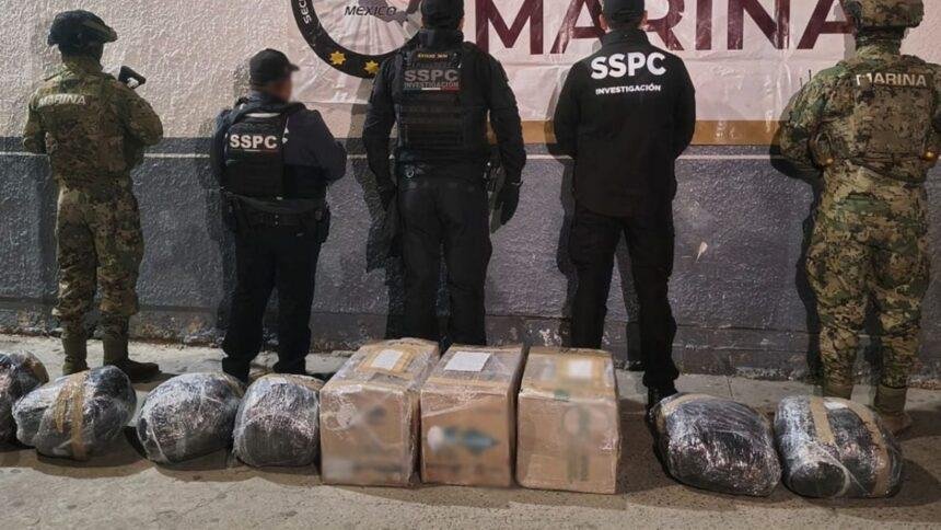 Decomisan 150 kilos de metanfetamina en Baja California valorados en 38 mdp