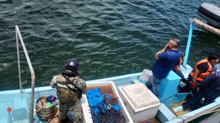 Decomisan 250 kilos de pepino de mar y especies en veda en Yucatán; tres detenidos