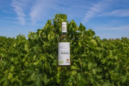 Descubre cómo la D.O. Rueda conquista el Caribe con la verdejo