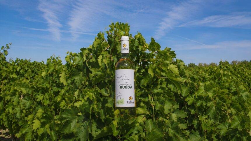Descubre cómo la D.O. Rueda conquista el Caribe con la verdejo