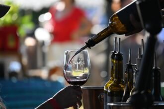 Descubre el Renacer de los Vinos de Guanajuato: Un Viaje Entre Vendimias