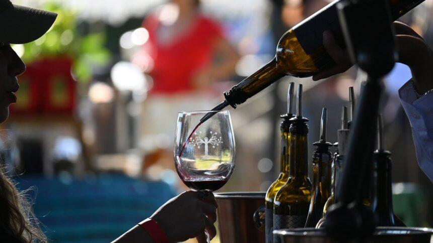 descubre el renacer de los vinos de guanajuato un viaje Descubre el Renacer de los Vinos de Guanajuato: Un Viaje Entre Vendimias