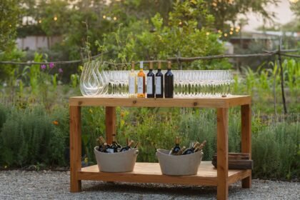 Descubre los Exquisitos Vinos de Casa Madero en Acre Resort