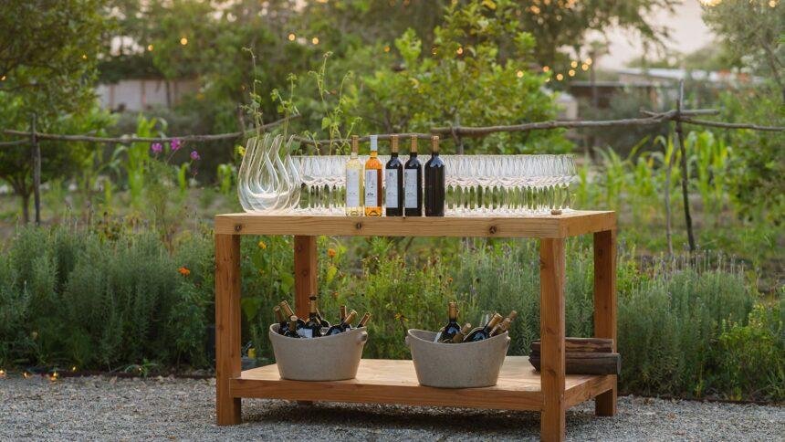 Descubre los Exquisitos Vinos de Casa Madero en Acre Resort