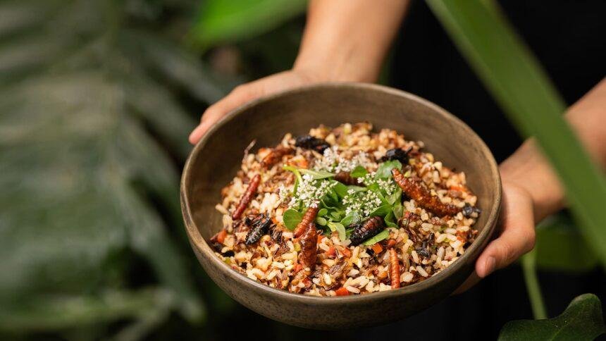 descubre los mejores lugares para probar insectos en cdmx Descubre los Mejores Lugares para Probar Insectos en CDMX