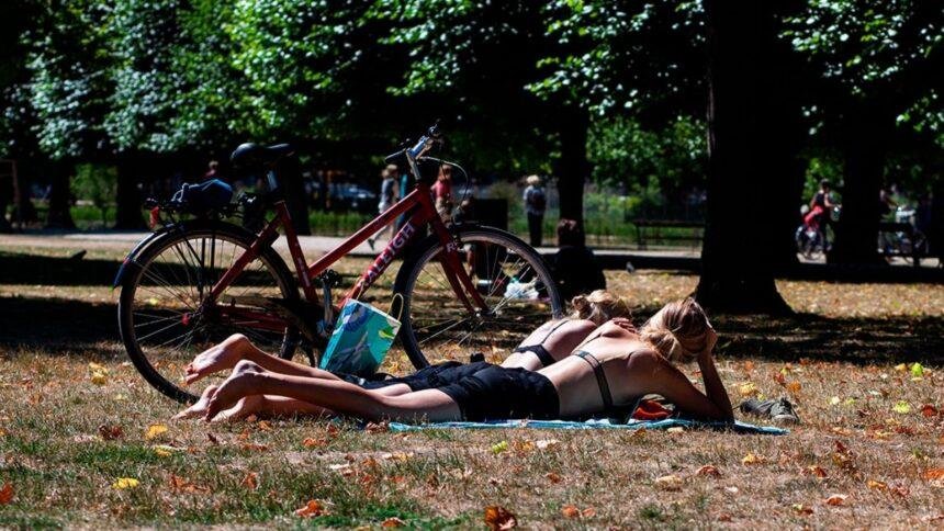 Dinamarca establece nuevo récord de temperatura en ola de calor europea