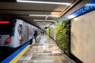 El Metro de la CDMX invierte 9.3 mdp en plantas que marchitan.