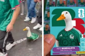 El pato con playera de la Selección Mexicana arrasa en redes sociales