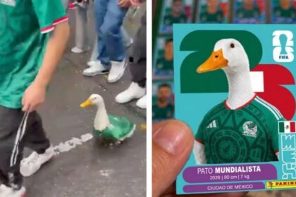 el pato con playera de la seleccion mexicana arrasa en El pato con playera de la Selección Mexicana arrasa en redes sociales